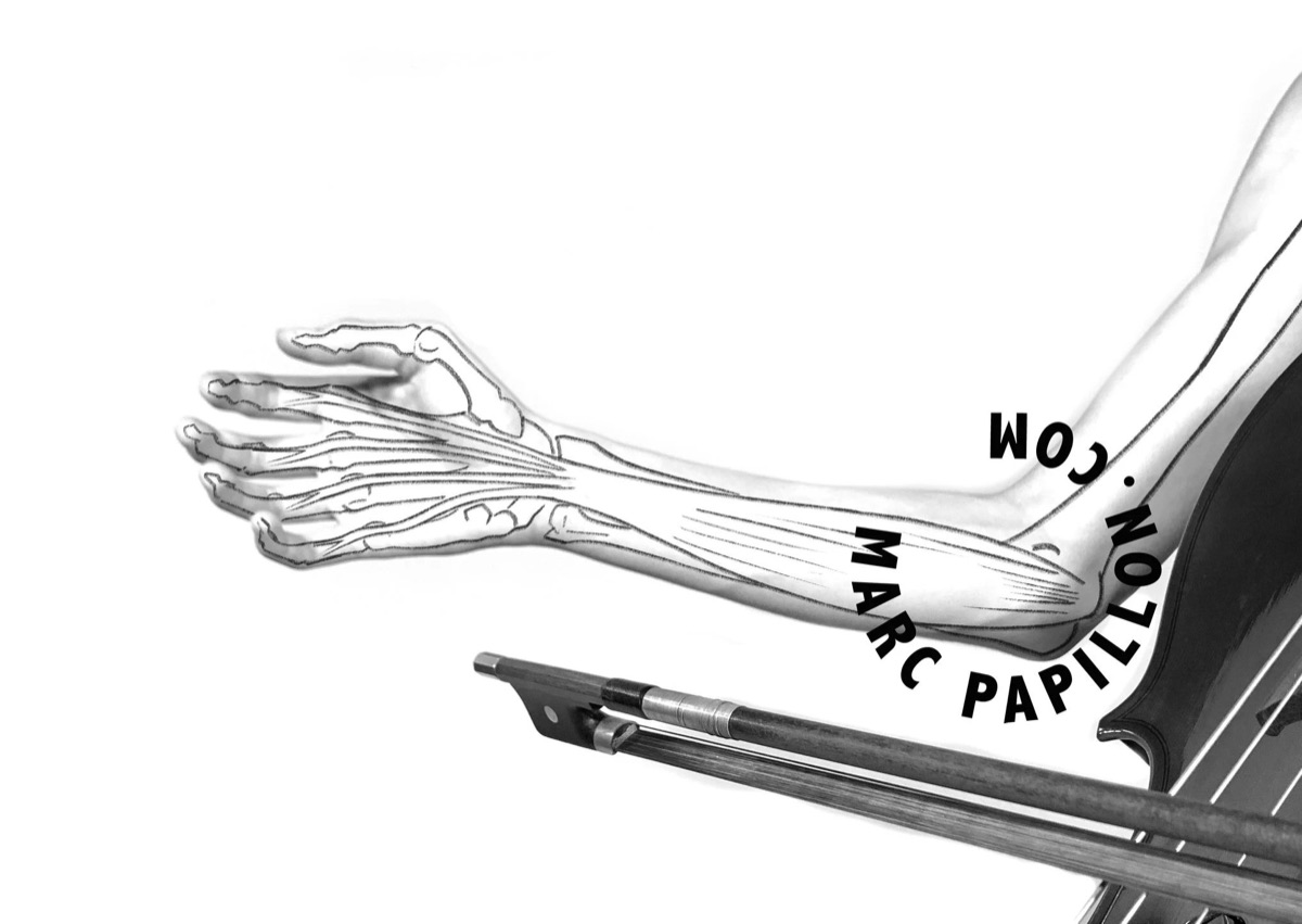 Un avant-bras dessiné de muscles et de tendons, au-dessus d’un archet.