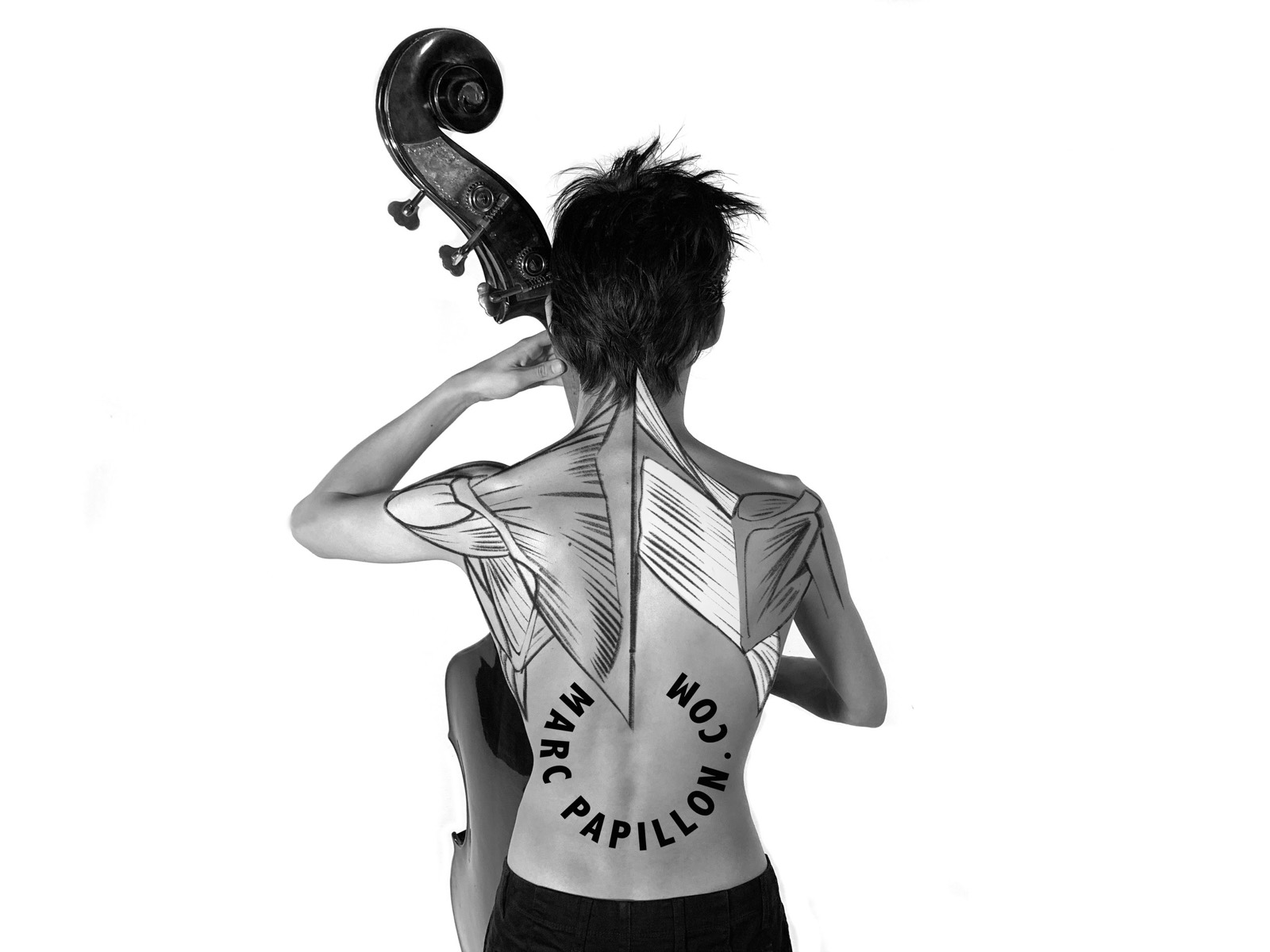 Une contrebassiste de dos, les muscles des épaules dessinés.